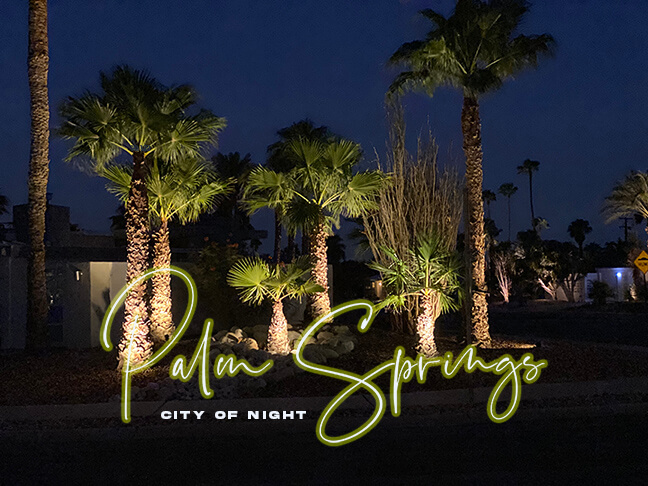Palm Springs: City of Night