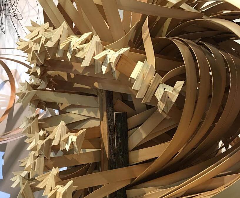 Artist in Residence: Rebecca Niederlander