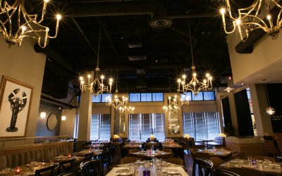 Cleo Mediterraneo Returns to Hollywood