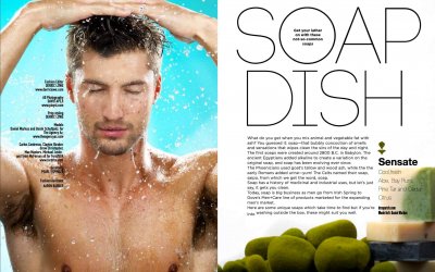 Soap Dish: The Art of Clean