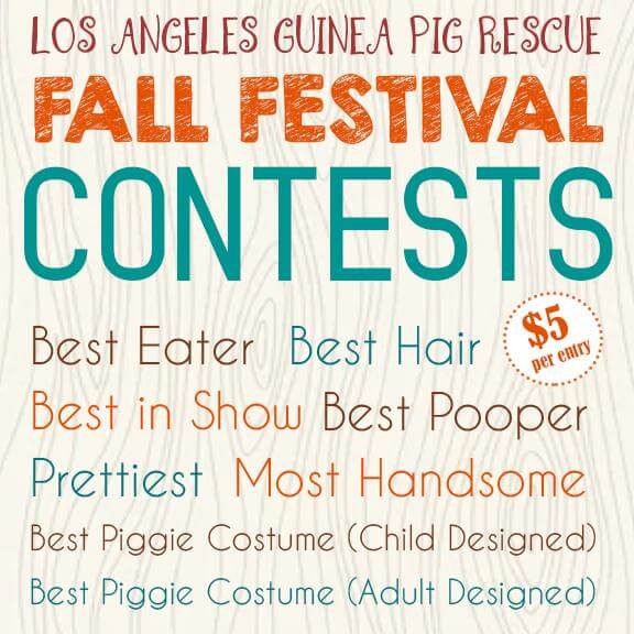 Los Angeles Guinea Pig Rescue Fall Festival Arrives Oct. 20