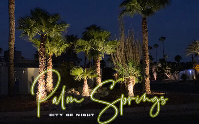 Palm Springs: City of Night