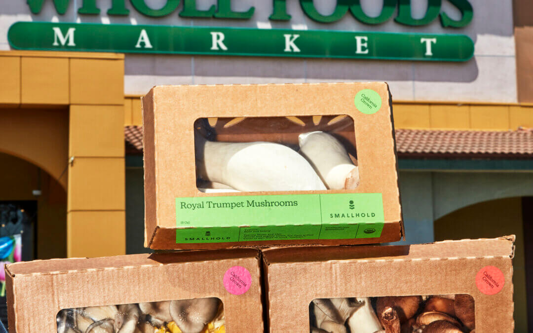 Smallhold Launches First West Coast Certified Organic Mushroom Farm in LA