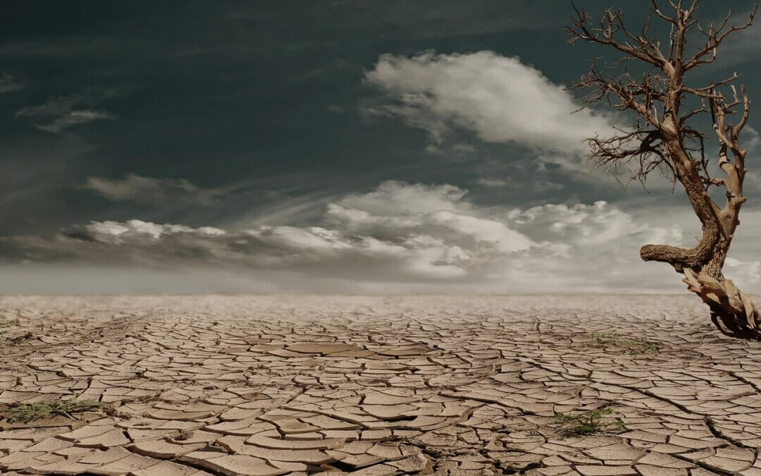 What HOAs Should Know in Light of a Drought