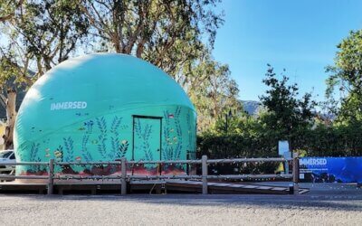 Catalina Island Welcomes New Educational Attraction: IMMERSED Ocean Wonders
