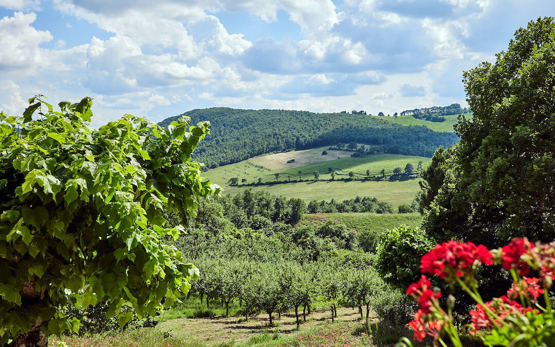 Welcome to Podere Lamberto